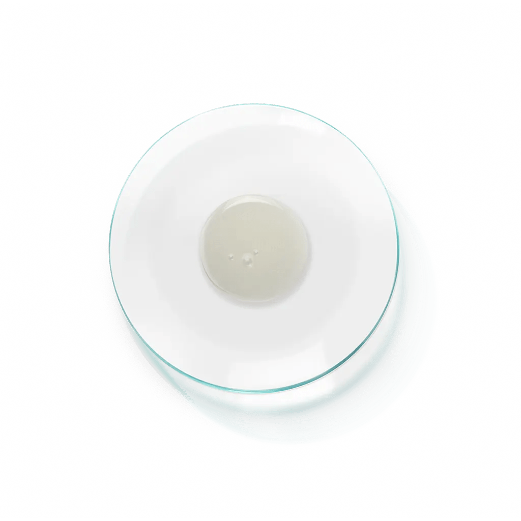 Essence 27 - Cosmetics 27 - Aida Bicaj