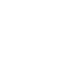 Aida Bicaj Tribeca
